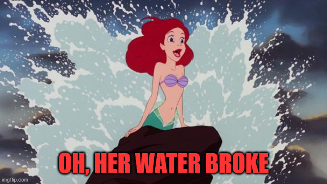 Little Mermaid | OH, HER WATER BROKE | image tagged in little mermaid | made w/ Imgflip meme maker
