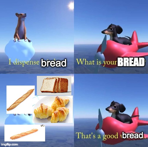 bread dog | bread; BREAD; bread | image tagged in wisdom dog | made w/ Imgflip meme maker