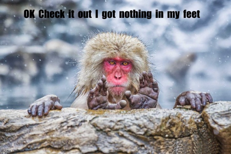got nothing in my feet | image tagged in monkey,feet,kewlew | made w/ Imgflip meme maker