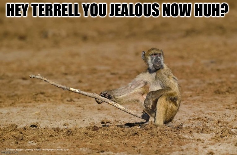 jealous now huh? | HEY TERRELL YOU JEALOUS NOW HUH? | image tagged in monkey,stick | made w/ Imgflip meme maker