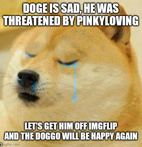 sad doge | DOGE IS SAD, HE WAS THREATENED BY PINKYLOVING; LET'S GET HIM OFF IMGFLIP AND THE DOGGO WILL BE HAPPY AGAIN | image tagged in sad doge | made w/ Imgflip meme maker