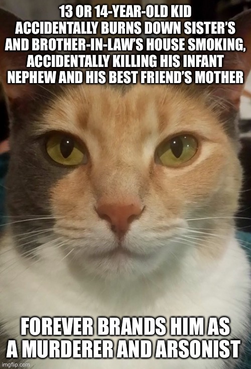 Judgment Cat | 13 OR 14-YEAR-OLD KID ACCIDENTALLY BURNS DOWN SISTER’S AND BROTHER-IN-LAW’S HOUSE SMOKING, ACCIDENTALLY KILLING HIS INFANT NEPHEW AND HIS BEST FRIEND’S MOTHER; FOREVER BRANDS HIM AS A MURDERER AND ARSONIST | image tagged in judgment cat | made w/ Imgflip meme maker