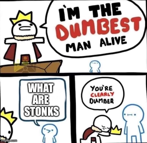 Why u don’t no stonks | WHAT 
ARE 
STONKS | image tagged in dumbest man alive blank,stonks | made w/ Imgflip meme maker