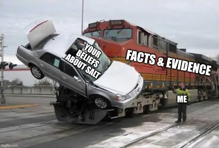 The Salt Conspiracy | YOUR BELIEFS ABOUT SALT; FACTS & EVIDENCE; ME | image tagged in train hitting car | made w/ Imgflip meme maker