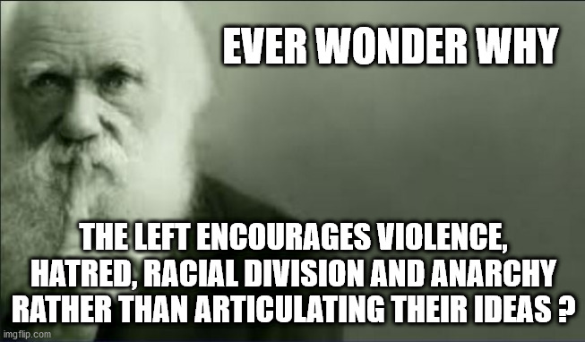 Things that make you say hmmmm.... | EVER WONDER WHY; THE LEFT ENCOURAGES VIOLENCE, HATRED, RACIAL DIVISION AND ANARCHY RATHER THAN ARTICULATING THEIR IDEAS ? | image tagged in shhhh,liberals,democrats,left wing | made w/ Imgflip meme maker