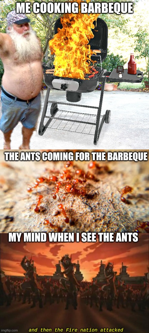 ME COOKING BARBEQUE; THE ANTS COMING FOR THE BARBEQUE; MY MIND WHEN I SEE THE ANTS; and then the Fire nation attacked | image tagged in avatar,barbeque blaze | made w/ Imgflip meme maker