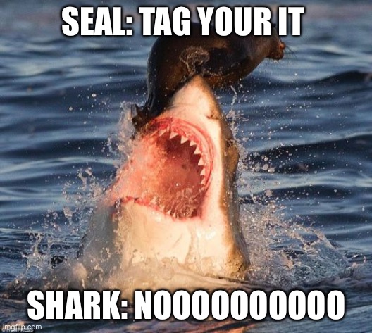 Travelonshark Meme | SEAL: TAG YOUR IT; SHARK: NOOOOOOOOOO | image tagged in memes,travelonshark | made w/ Imgflip meme maker