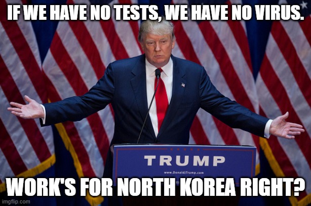 No tests.... no virus, just ask Trump | IF WE HAVE NO TESTS, WE HAVE NO VIRUS. WORK'S FOR NORTH KOREA RIGHT? | image tagged in donald trump | made w/ Imgflip meme maker