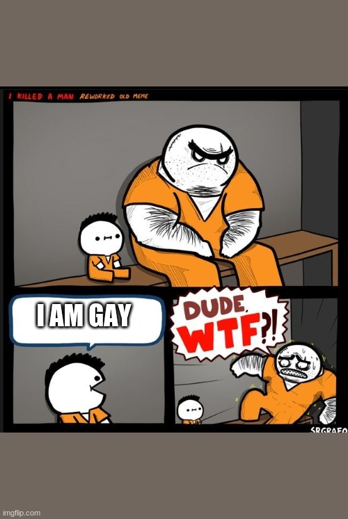 Srgrafo dude wtf | I AM GAY | image tagged in srgrafo dude wtf | made w/ Imgflip meme maker