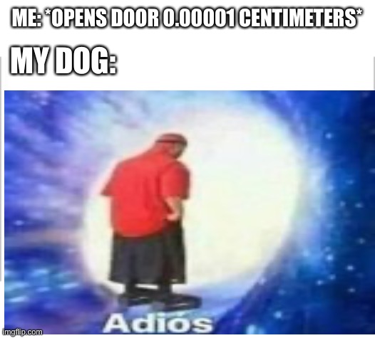 -_- | ME: *OPENS DOOR 0.00001 CENTIMETERS*; MY DOG: | image tagged in white background,adios,memes,funny memes,meme | made w/ Imgflip meme maker