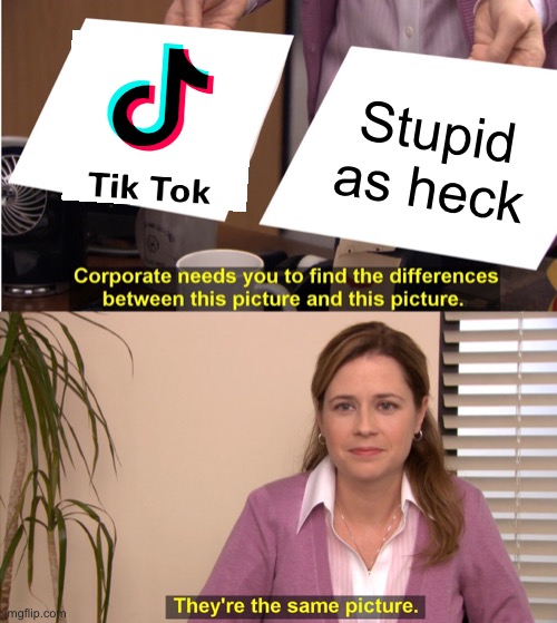 I think this explains why I hate Tiktok | Stupid as heck | image tagged in memes,they're the same picture | made w/ Imgflip meme maker