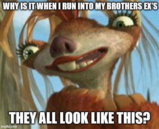 Crazy ex | WHY IS IT WHEN I RUN INTO MY BROTHERS EX'S; THEY ALL LOOK LIKE THIS? | image tagged in crazy ex | made w/ Imgflip meme maker