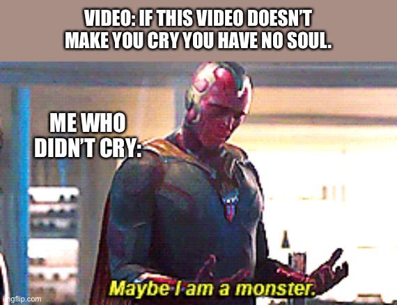 Maybe I am a monster | VIDEO: IF THIS VIDEO DOESN’T MAKE YOU CRY YOU HAVE NO SOUL. ME WHO DIDN’T CRY: | image tagged in maybe i am a monster | made w/ Imgflip meme maker