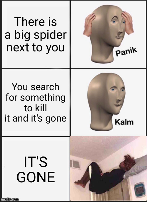 I can't be the only one | There is a big spider next to you; You search for something to kill it and it's gone; IT'S GONE | image tagged in memes,panik kalm panik,spiders | made w/ Imgflip meme maker
