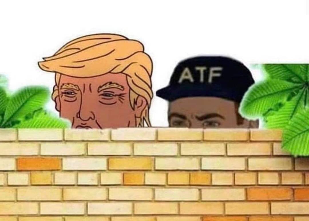 High Quality atf and trump Blank Meme Template