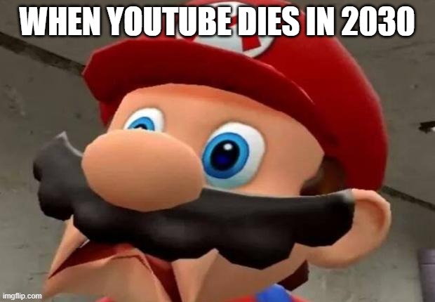 Mario WTF | WHEN YOUTUBE DIES IN 2030 | image tagged in mario wtf | made w/ Imgflip meme maker