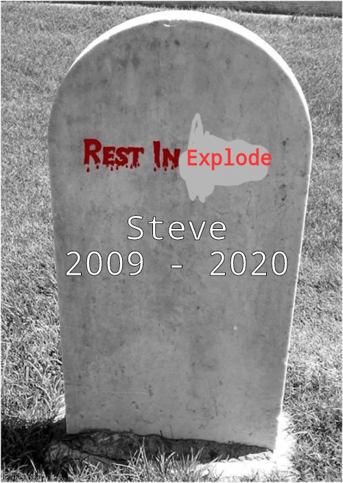 Gravestone | Explode Steve
2009 - 2020 | image tagged in gravestone | made w/ Imgflip meme maker