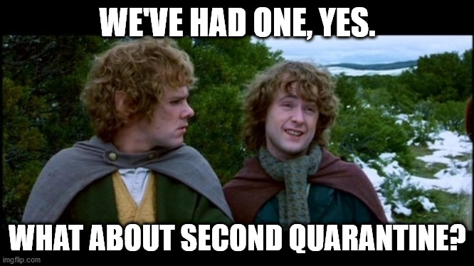 I wouldn't count on it. | WE'VE HAD ONE, YES. WHAT ABOUT SECOND QUARANTINE? | image tagged in pippin second breakfast,quarantine,memes | made w/ Imgflip meme maker