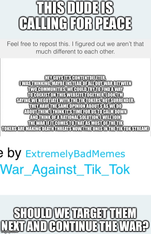 Should we answer with peace or should we kill this man? | THIS DUDE IS CALLING FOR PEACE; SHOULD WE TARGET THEM NEXT AND CONTINUE THE WAR? | image tagged in tik tok | made w/ Imgflip meme maker