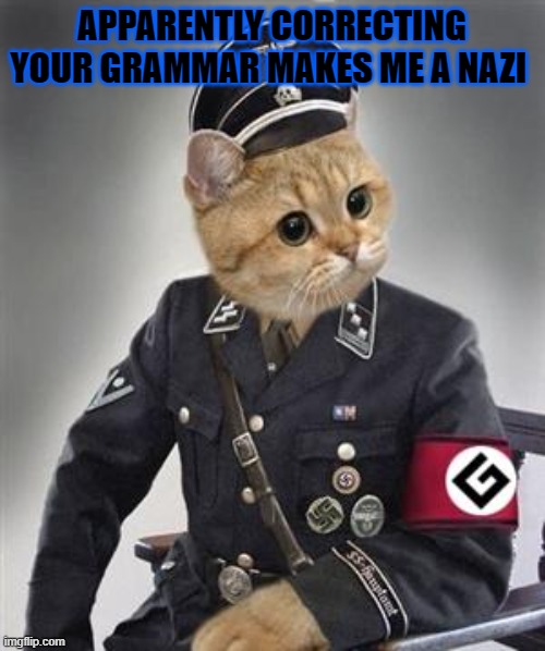 Grammar Nazi Cat | APPARENTLY CORRECTING YOUR GRAMMAR MAKES ME A NAZI | image tagged in grammar nazi cat | made w/ Imgflip meme maker