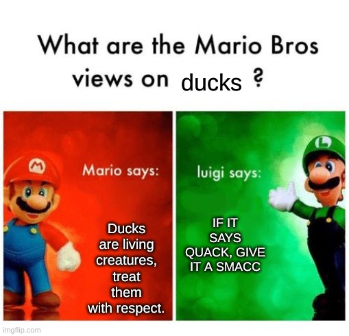 No idea what I've just created. \_(:/)_/ | ducks; Ducks are living creatures, treat them with respect. IF IT SAYS QUACK, GIVE IT A SMACC | image tagged in mario vs luigi | made w/ Imgflip meme maker