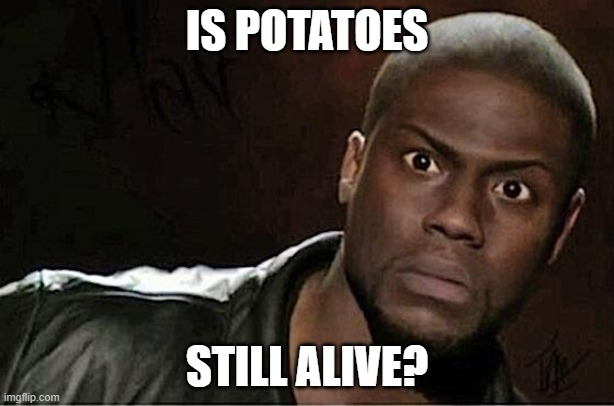 Kevin Hart Meme | IS POTATOES; STILL ALIVE? | image tagged in memes,kevin hart | made w/ Imgflip meme maker