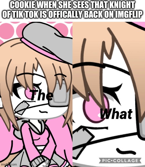 I can't wait till that little b*tch dies and burns in Hell for life! | COOKIE WHEN SHE SEES THAT KNIGHT OF TIK TOK IS OFFICALLY BACK ON IMGFLIP | image tagged in gacha life the what,tik tok | made w/ Imgflip meme maker
