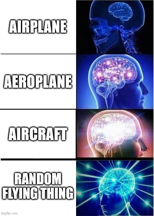 Expanding Brain | AIRPLANE; AEROPLANE; AIRCRAFT; RANDOM FLYING THING | image tagged in memes,expanding brain | made w/ Imgflip meme maker