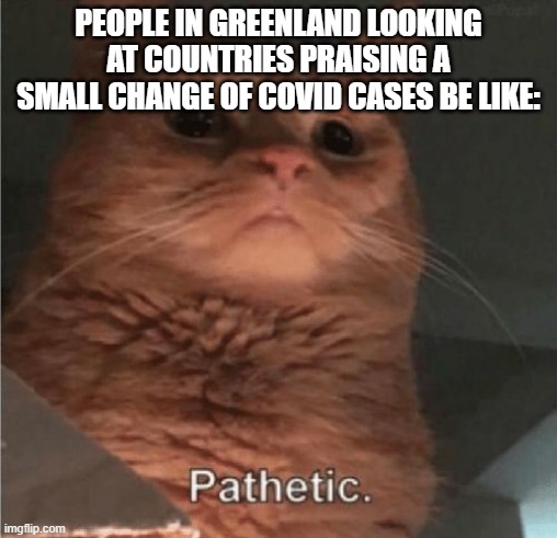 Mega Mind Size | PEOPLE IN GREENLAND LOOKING AT COUNTRIES PRAISING A SMALL CHANGE OF COVID CASES BE LIKE: | image tagged in pathetic cat | made w/ Imgflip meme maker