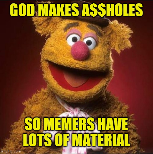 Fozzie bear | GOD MAKES A$$HOLES SO MEMERS HAVE
LOTS OF MATERIAL | image tagged in fozzie bear | made w/ Imgflip meme maker