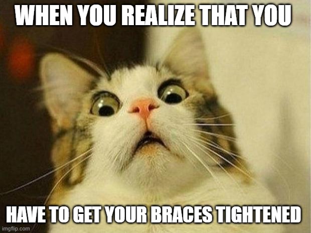 Braces problems | WHEN YOU REALIZE THAT YOU; HAVE TO GET YOUR BRACES TIGHTENED | image tagged in memes,scared cat,braces,pain,oh no | made w/ Imgflip meme maker