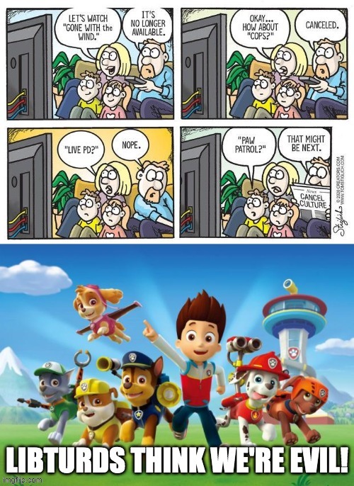 cancel culture = cancer culture | image tagged in paw patrol,funny,memes,politics,comics/cartoons | made w/ Imgflip meme maker