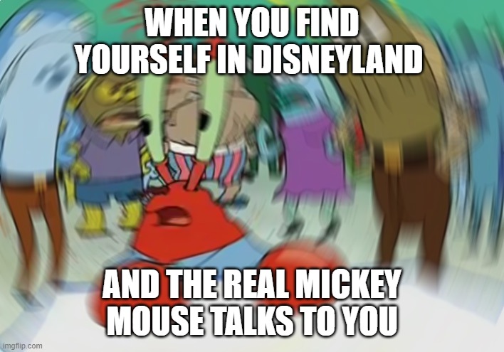 At Disneyland | WHEN YOU FIND YOURSELF IN DISNEYLAND; AND THE REAL MICKEY MOUSE TALKS TO YOU | image tagged in memes,mr krabs blur meme,disneyland | made w/ Imgflip meme maker