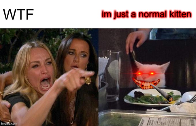 Woman Yelling At Cat | WTF; im just a normal kitten | image tagged in memes,woman yelling at cat | made w/ Imgflip meme maker