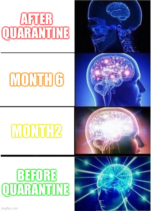 Expanding Brain | AFTER QUARANTINE; MONTH 6; MONTH2; BEFORE QUARANTINE | image tagged in quarantine,life sucks,special kind of stupid | made w/ Imgflip meme maker