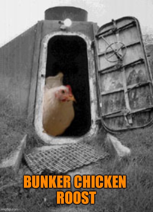 BUNKER CHICKEN 
ROOST | made w/ Imgflip meme maker