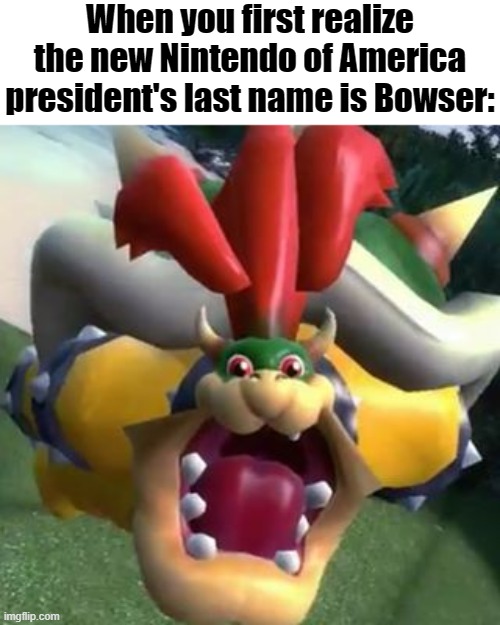 Got that, Doug! | When you first realize the new Nintendo of America president's last name is Bowser: | image tagged in bowser on lsd,bowser,games,video games,memes,funny memes | made w/ Imgflip meme maker