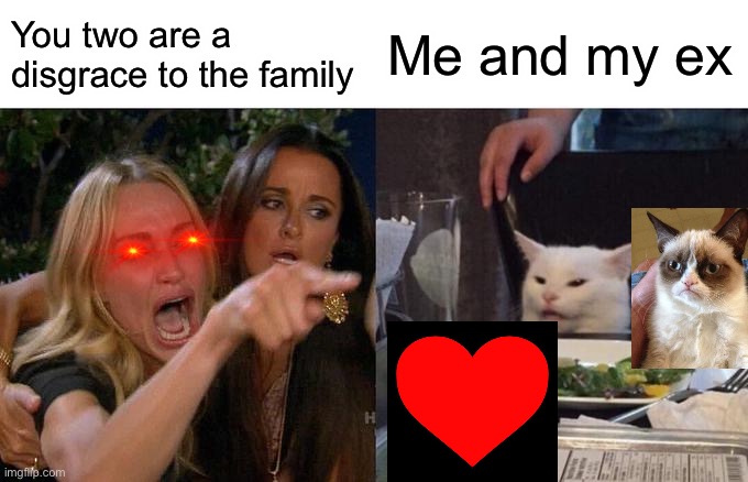 Woman yells at 2 cats | You two are a disgrace to the family; Me and my ex | image tagged in memes,woman yelling at cat | made w/ Imgflip meme maker