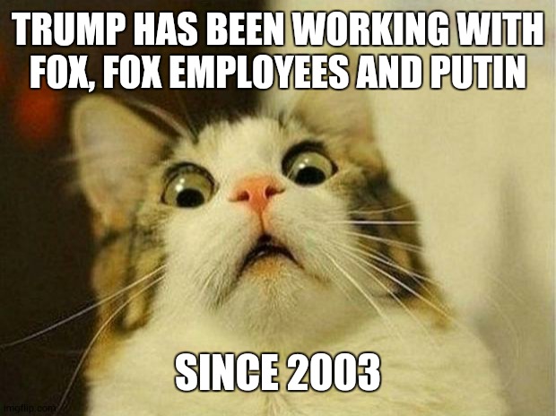 Look It Up | TRUMP HAS BEEN WORKING WITH FOX, FOX EMPLOYEES AND PUTIN; SINCE 2003 | image tagged in memes,scared cat,trump unfit unqualified dangerous,liar in chief,lock him up,trump traitor | made w/ Imgflip meme maker