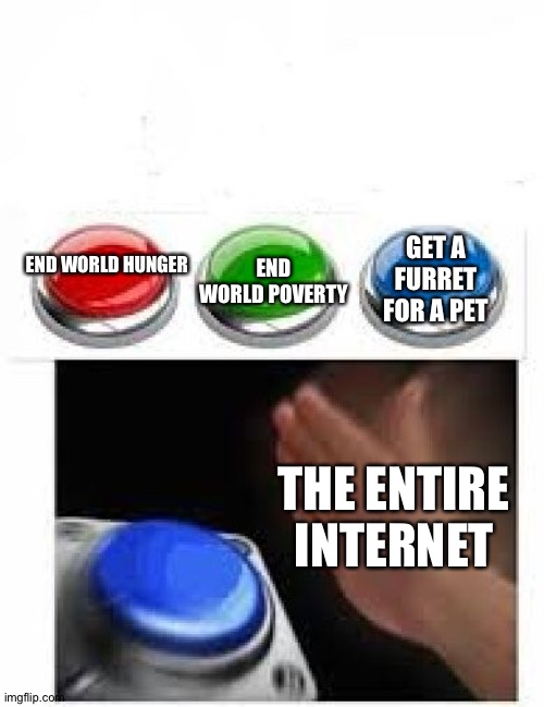 Probably been done before | GET A FURRET FOR A PET; END WORLD POVERTY; END WORLD HUNGER; THE ENTIRE INTERNET | image tagged in red green blue buttons | made w/ Imgflip meme maker