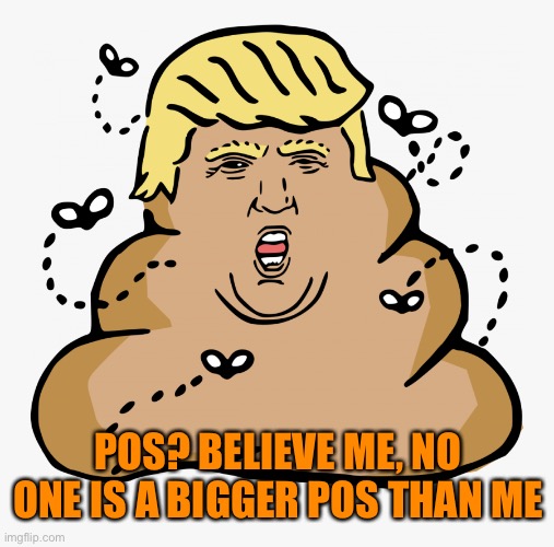 POS? BELIEVE ME, NO ONE IS A BIGGER POS THAN ME | made w/ Imgflip meme maker