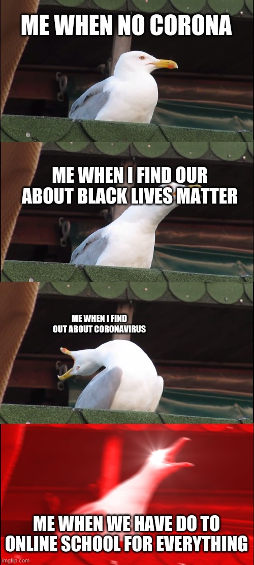 for u | ME WHEN NO CORONA; ME WHEN I FIND OUR ABOUT BLACK LIVES MATTER; ME WHEN I FIND OUT ABOUT CORONAVIRUS; ME WHEN WE HAVE DO TO ONLINE SCHOOL FOR EVERYTHING | image tagged in memes,inhaling seagull | made w/ Imgflip meme maker