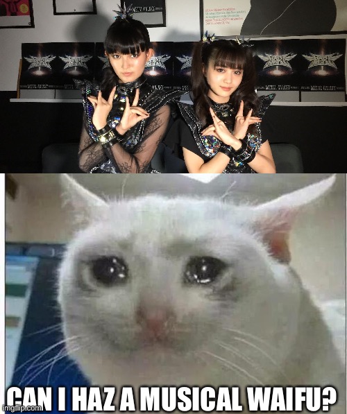 Musical waifu? | CAN I HAZ A MUSICAL WAIFU? | image tagged in crying cat,babymetal | made w/ Imgflip meme maker