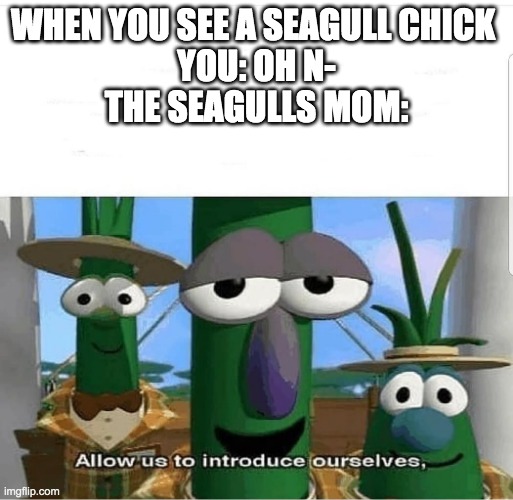 Allow us to introduce ourselves | WHEN YOU SEE A SEAGULL CHICK 

YOU: OH N-

THE SEAGULLS MOM: | image tagged in allow us to introduce ourselves | made w/ Imgflip meme maker