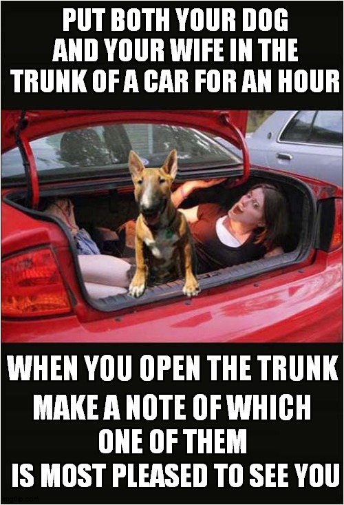 Who Loves You Most ? | PUT BOTH YOUR DOG AND YOUR WIFE IN THE TRUNK OF A CAR FOR AN HOUR; WHEN YOU OPEN THE TRUNK; MAKE A NOTE OF WHICH; ONE OF THEM; IS MOST PLEASED TO SEE YOU | image tagged in fun,dog,wife,loyalty | made w/ Imgflip meme maker