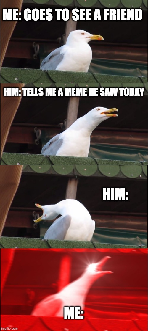 Inhaling Seagull | ME: GOES TO SEE A FRIEND; HIM: TELLS ME A MEME HE SAW TODAY; HIM:; ME: | image tagged in memes,inhaling seagull | made w/ Imgflip meme maker