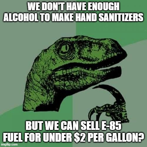 Philosoraptor Meme | WE DON'T HAVE ENOUGH ALCOHOL TO MAKE HAND SANITIZERS; BUT WE CAN SELL E-85 FUEL FOR UNDER $2 PER GALLON? | image tagged in memes,philosoraptor | made w/ Imgflip meme maker