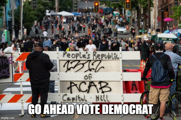Chose wisely | GO AHEAD VOTE DEMOCRAT | image tagged in chaz,democratic socialism | made w/ Imgflip meme maker