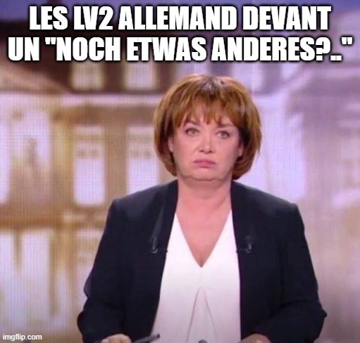 Fed Up Journalist | LES LV2 ALLEMAND DEVANT UN "NOCH ETWAS ANDERES?.." | image tagged in fed up journalist | made w/ Imgflip meme maker