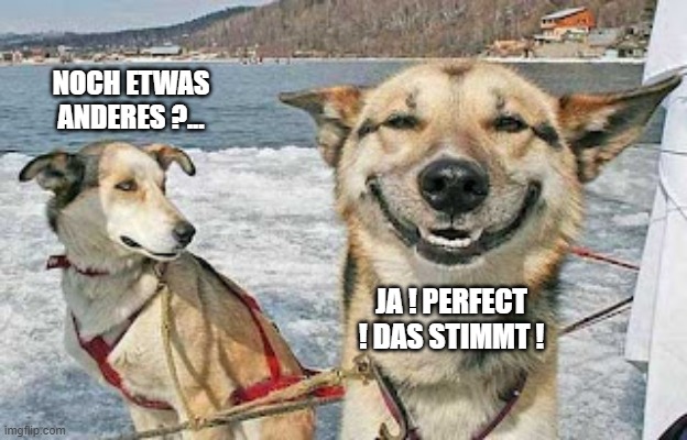 Original Stoner Dog | NOCH ETWAS ANDERES ?... JA ! PERFECT ! DAS STIMMT ! | image tagged in memes,original stoner dog | made w/ Imgflip meme maker